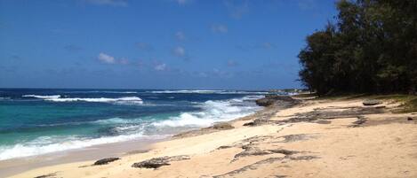 A beach with clear blue water, sandy shore, and a line of trees.