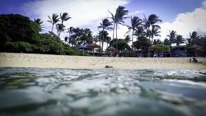 Ein Strand mit Palmen, Sonnenschirmen und sandigem Ufer.