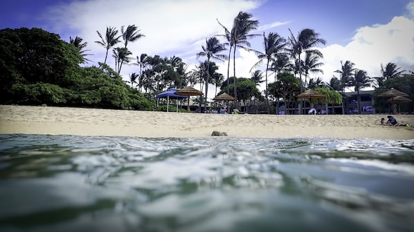 Sun-loungers, beach towels