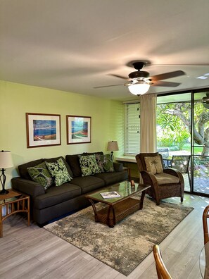 Smart TV, DVD player, books, video library