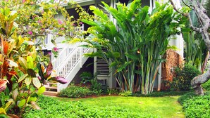 Ein Haus mit weißer Fassade, einer Treppe zum Eingang und einem gepflegten Garten mit verschiedenen Pflanzen und Rasen.