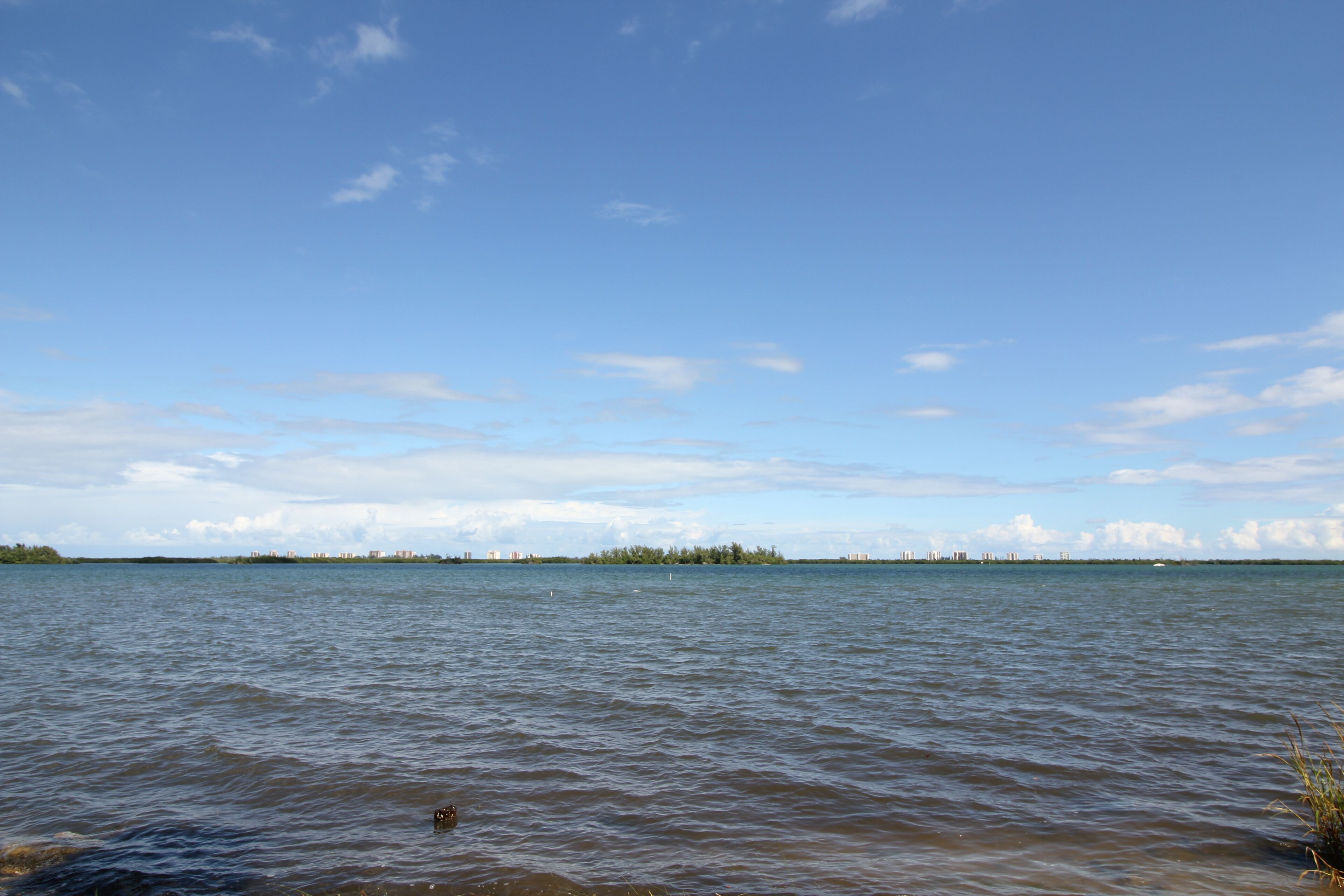 A calm body of water with a distant shoreline and buildings.