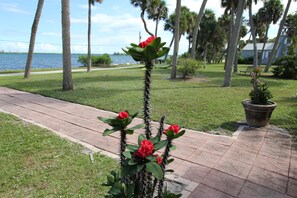 Property grounds - Indian River Lagoon Waterfront Cottages, Cottage #4 The Flounder, I Brm King (Fort Pierce)