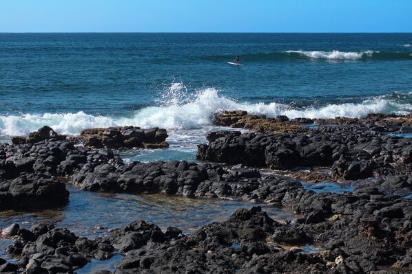 Unclassified image, 1 of 31, button