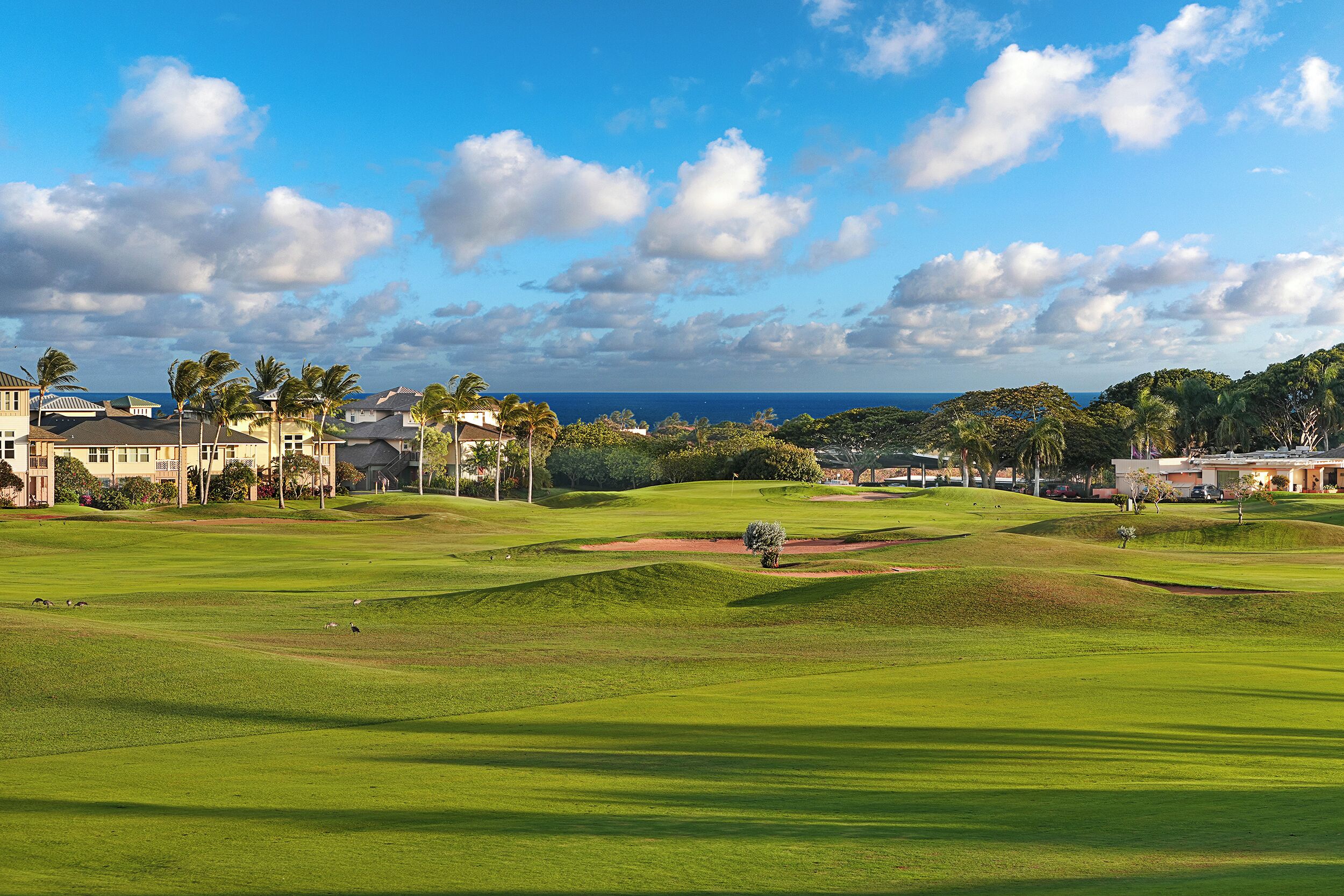 Ein Golfplatz mit Blick auf das Meer und Wohnhäuser im Hintergrund.