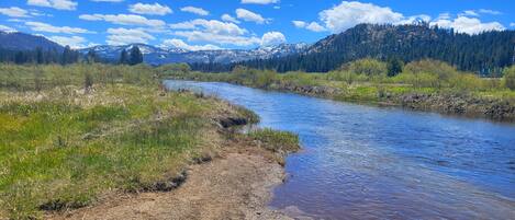 Un río que serpentea por un paisaje natural con montañas al fondo.