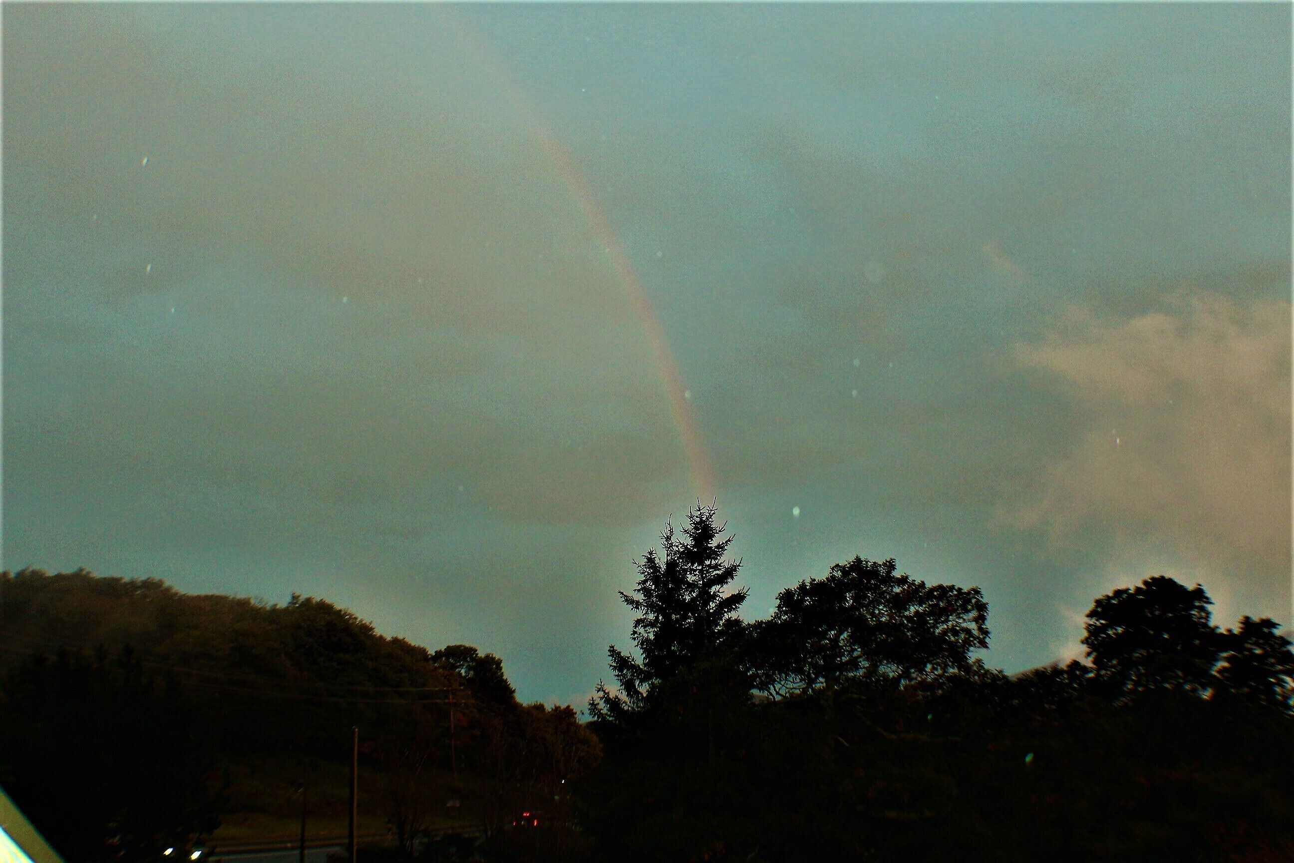 Een regenboog aan de lucht met bomen op de voorgrond.