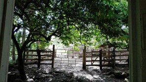 Property grounds - La Granja: Farm Paradise– Integrated farm (monteverde)