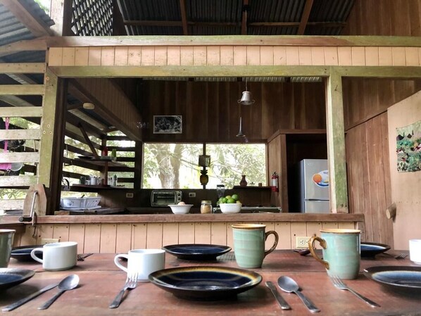 Fridge, oven, stovetop, coffee/tea maker