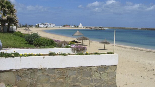 Une plage avec un bâtiment blanc, un palmier et un ciel bleu clair.