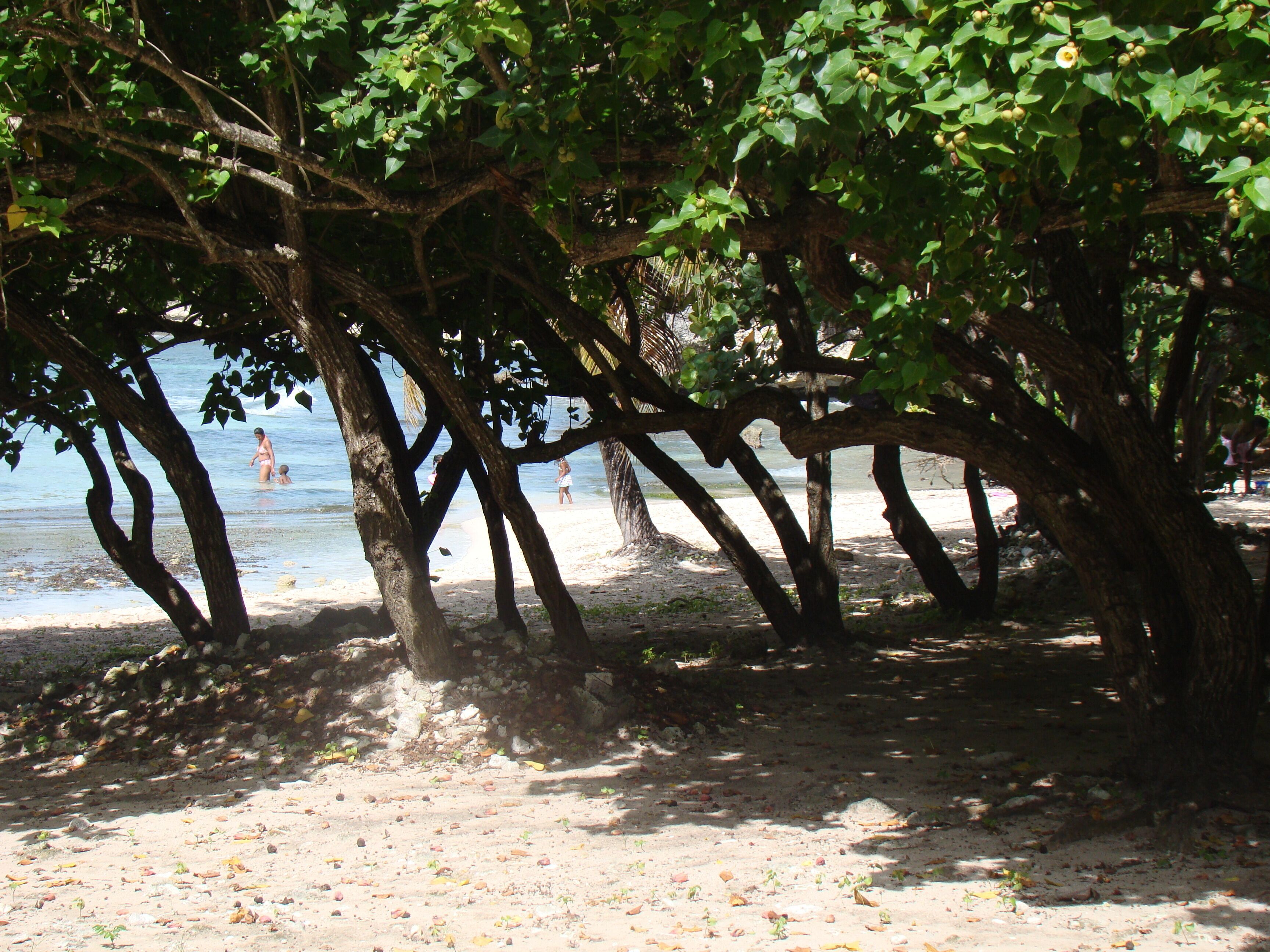Strand