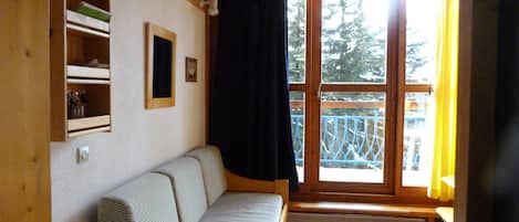 TV, DVD player, books, video library