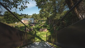 Una escalera metálica que lleva a un invernadero rodeado de abundante vegetación.