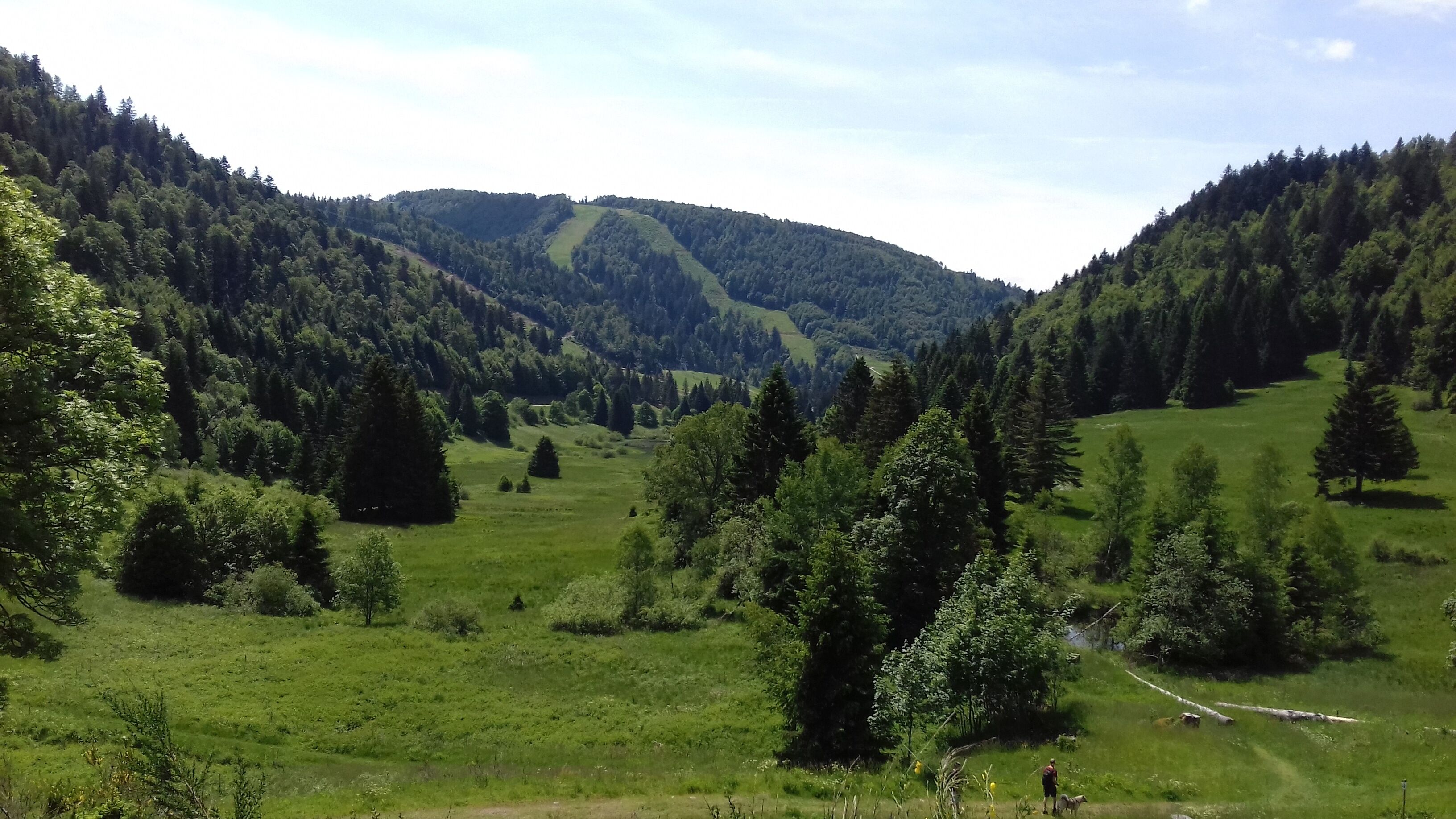 Eine gebirgige Landschaft mit dichten Wäldern und blauem Himmel.