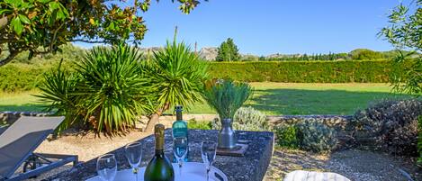 A table set outdoors with a bottle of Ruinart wine, two glasses, and a tray.
