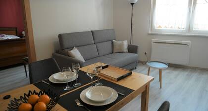 Winegrower's cottage in Voegtlinshoffen CENTER ALSACE