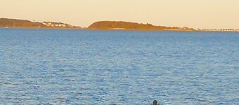 Renovated Beach House Close to Everything, Minutes to Boston