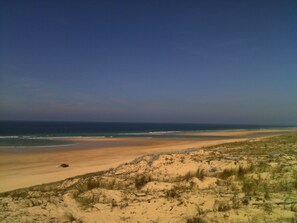 Ein Strand mit Dünen und blauem Himmel.