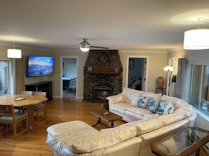 Smart TV, chimenea, reproductor de DVD y libros 