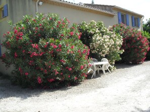 Outdoor dining - Tarascon VILLA RENTAL - DISTRICT ST GABRIEL (Tarascon)