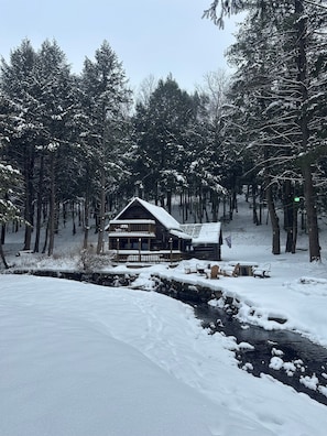 Exterior - Streamside Log Cabin Cherry Springs Stargazing (Coudersport)