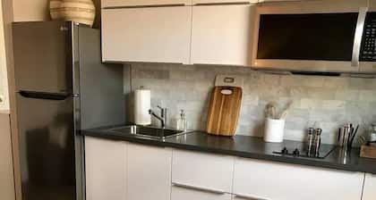 310-1 Bedroom Gem San Pedro Square San Jose!