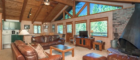 Smart TV, chimenea, reproductor de DVD, libros