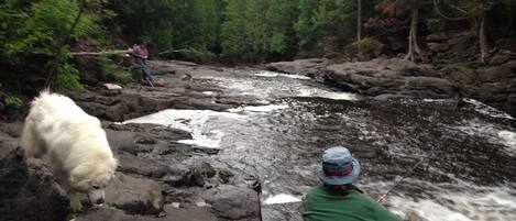 Áreas de la propiedad