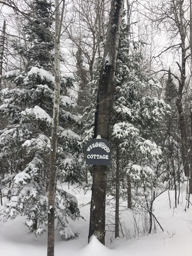 Wildwood Cottage, Duluth, private wooded retreat on the North Shore 