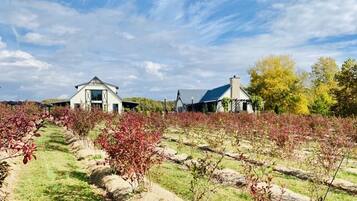 Áreas de la propiedad