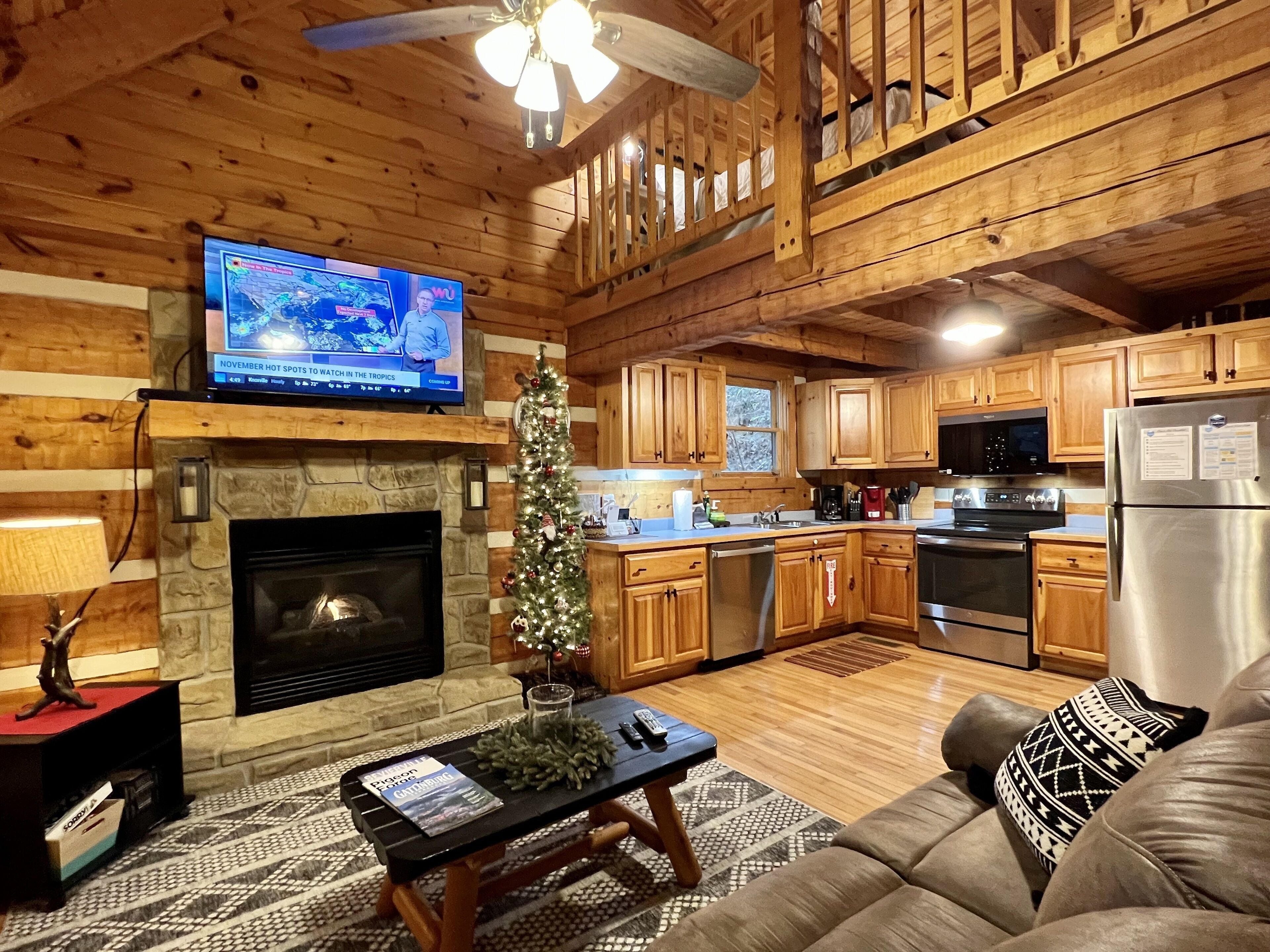 TV, fireplace, video games, DVD player