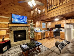 Televisión, chimenea, videojuegos y reproductor de DVD 