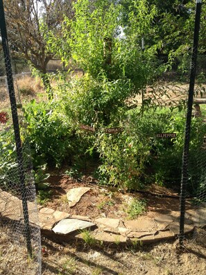 Área da propriedade