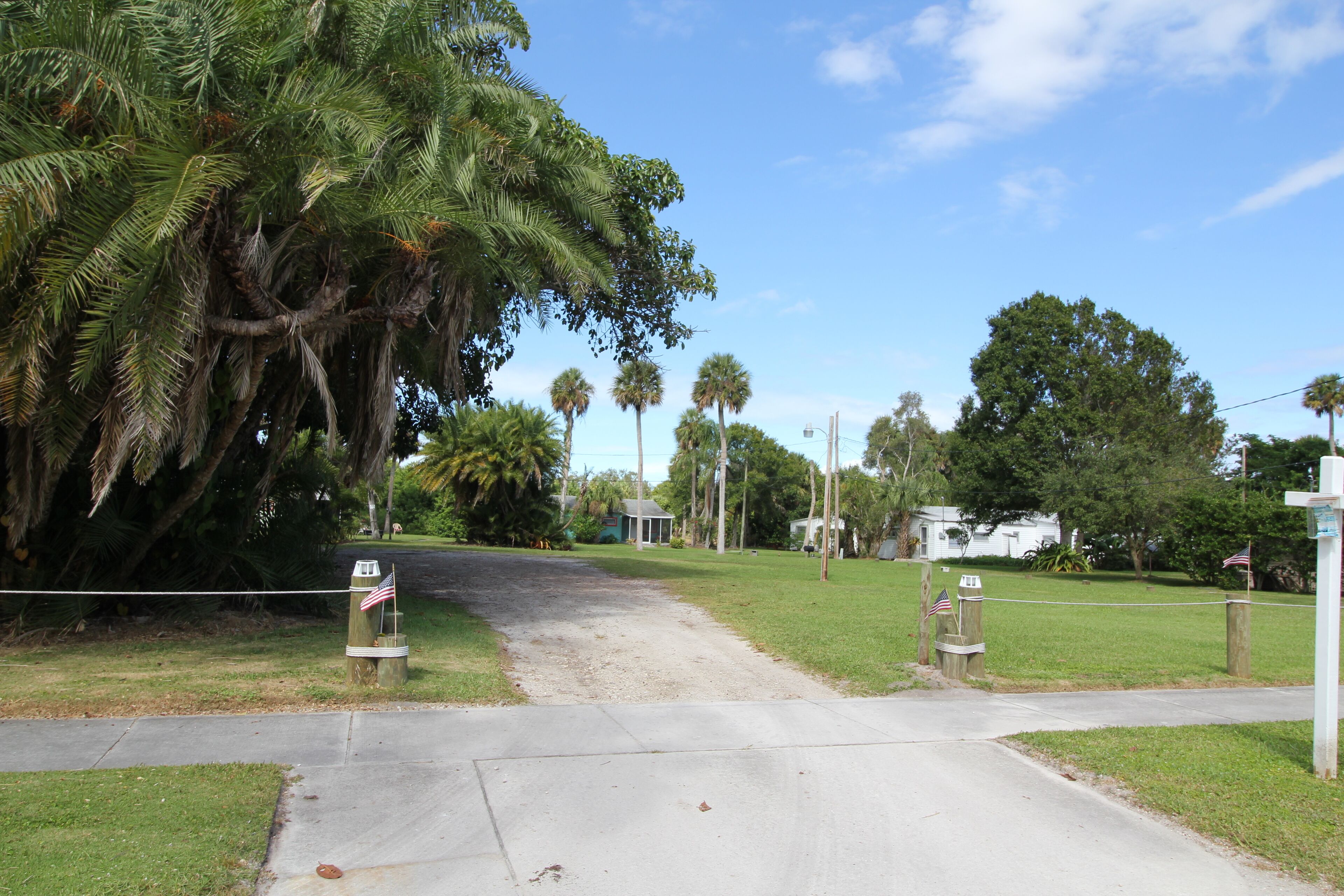 A residential street with a concrete sidewalk, palm trees, and houses.