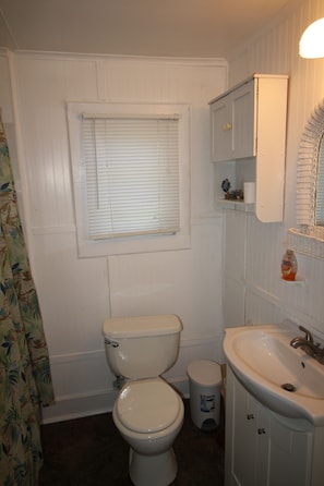 Combined shower/bathtub, hair dryer, towels - Indian River lagoon Fishing Cottage 2 miles from the Atlantic Ocean w/250 dock (Fort Pierce)