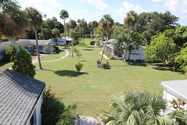 Property grounds - Indian River lagoon Fishing Cottage 2 miles from the Atlantic Ocean w/250 dock (Fort Pierce)