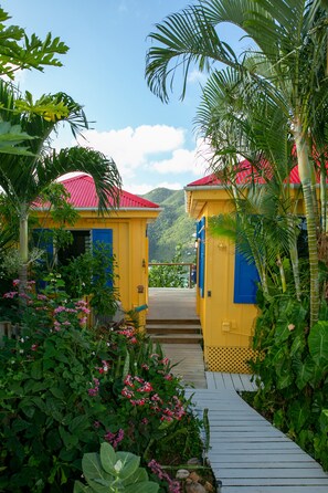 Property grounds - Bon Bini Cottage - Full AC, Solar Power w/ Battery Back-Up, & Hot Tub!  (Coral Bay)