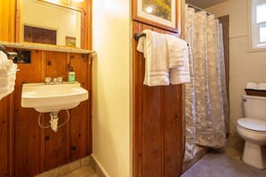 Combined shower/tub, hair dryer, towels, shampoo - Park like cabin perfect for Parents with two children  (Three Rivers)
