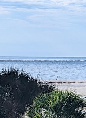 Chaise longue, serviettes de plage