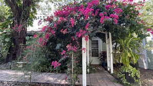 A garden with a pergola covered in pink flowers, a large tree, and various plants.