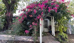 Terrain de l’hébergement 