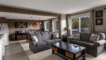 Tv, eldstad och en stereo