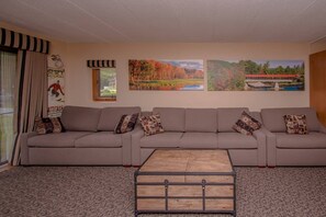 TV, fireplace, video games, DVD player