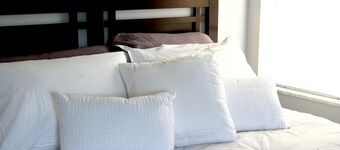 Fabulous Executive Suite