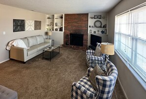 TV, fireplace, books