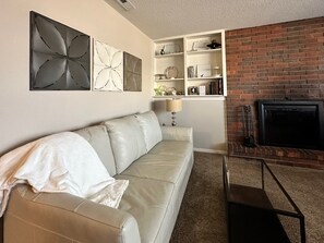 TV, fireplace, books