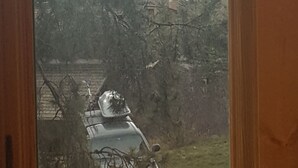 Blick durch ein Fenster auf ein Gebäude mit einem Berg im Hintergrund.