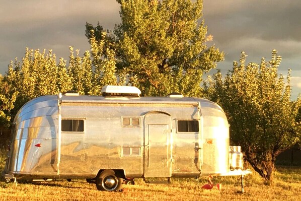 Unclassified image, 1 of 33, button