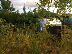 Luokittelematon kuva, 4 kautta 33, painike