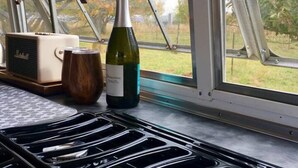 Eine Weinflasche und ein Glas auf einer Theke neben einem Fenster mit Blick auf Bäume.